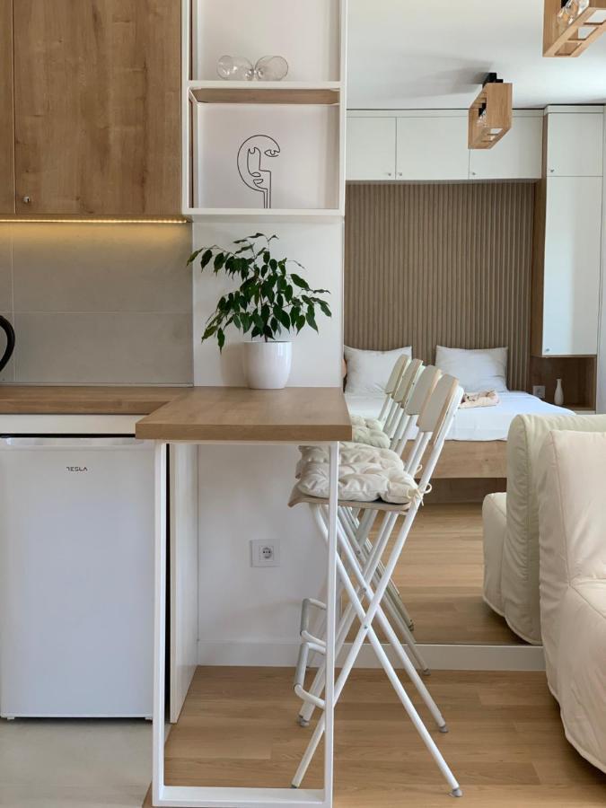 Selena Apartment เบลเกรด ภายนอก รูปภาพ